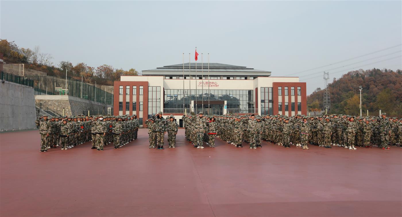11.jpg