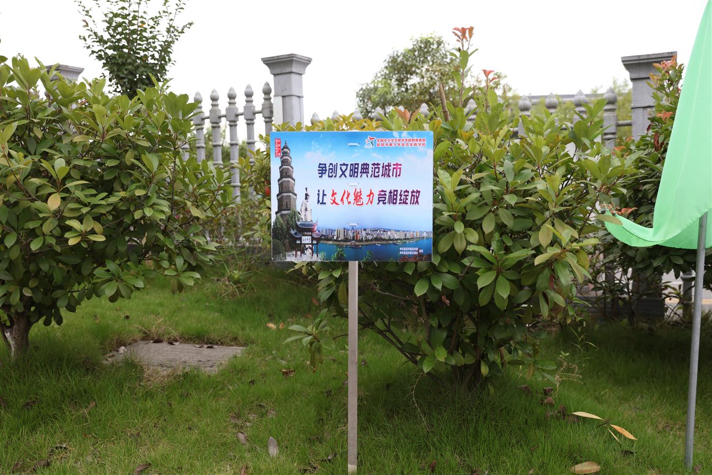 12.JPG